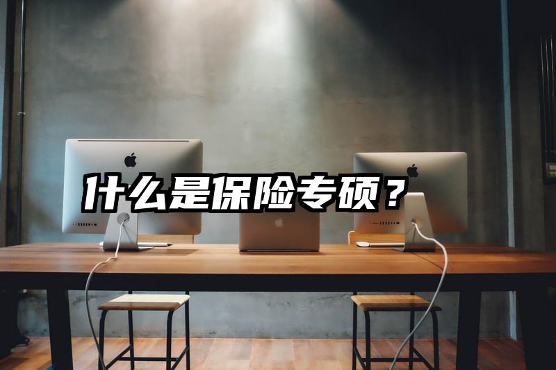 什么是保险专硕？