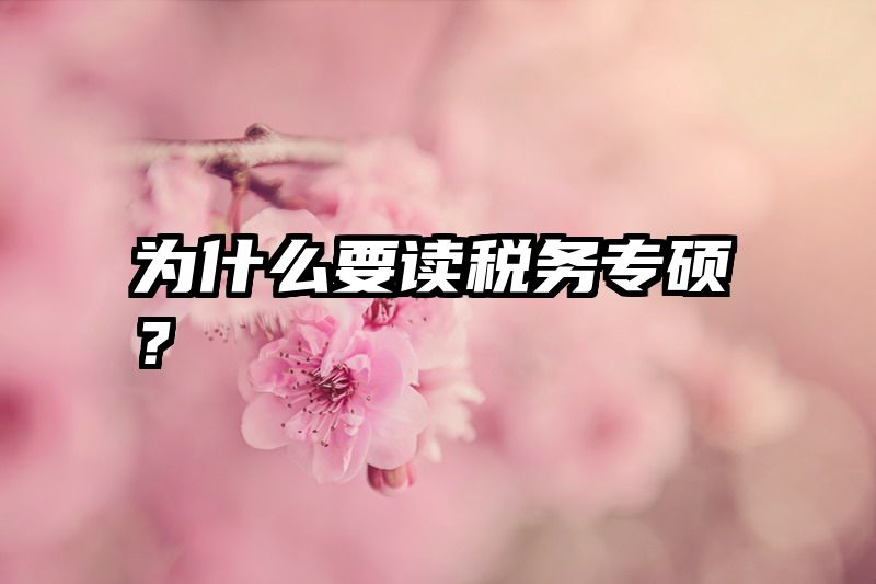 为什么要读税务专硕？