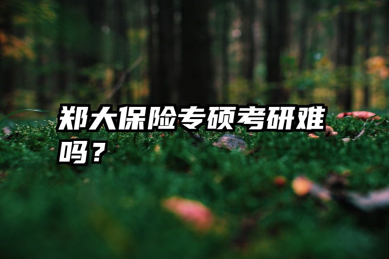 郑大保险专硕考研难吗？
