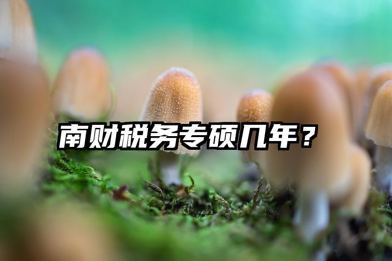 南财税务专硕几年？