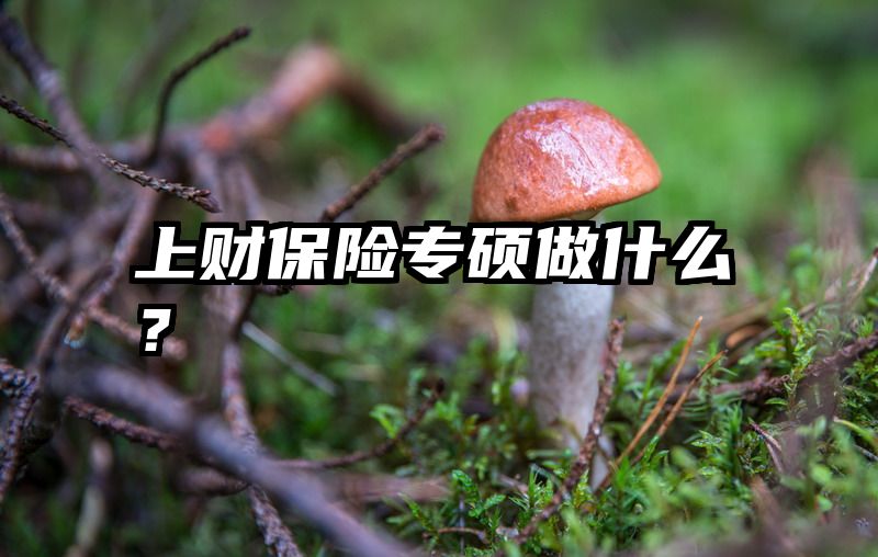 上财保险专硕做什么？