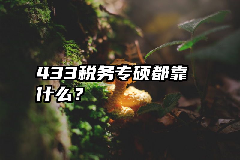 433税务专硕都靠什么？