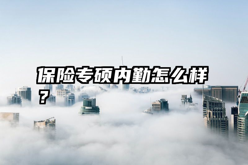 保险专硕内勤怎么样？