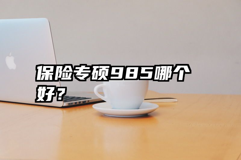 保险专硕985哪个好？