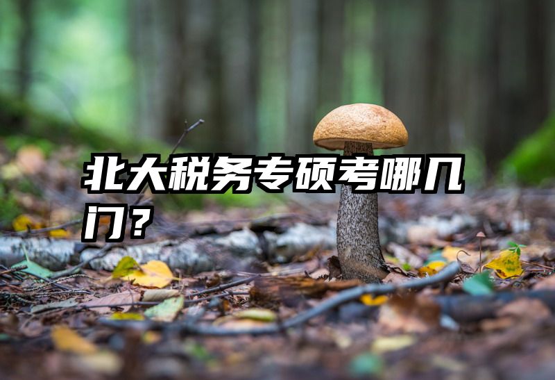 北大税务专硕考哪几门？