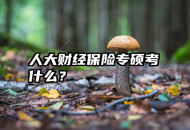 人大财经保险专硕考什么？