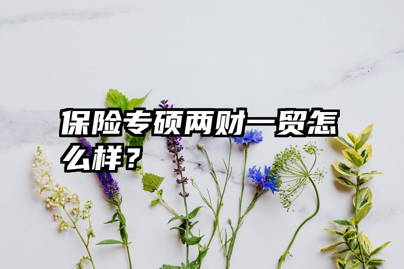 保险专硕两财一贸怎么样？