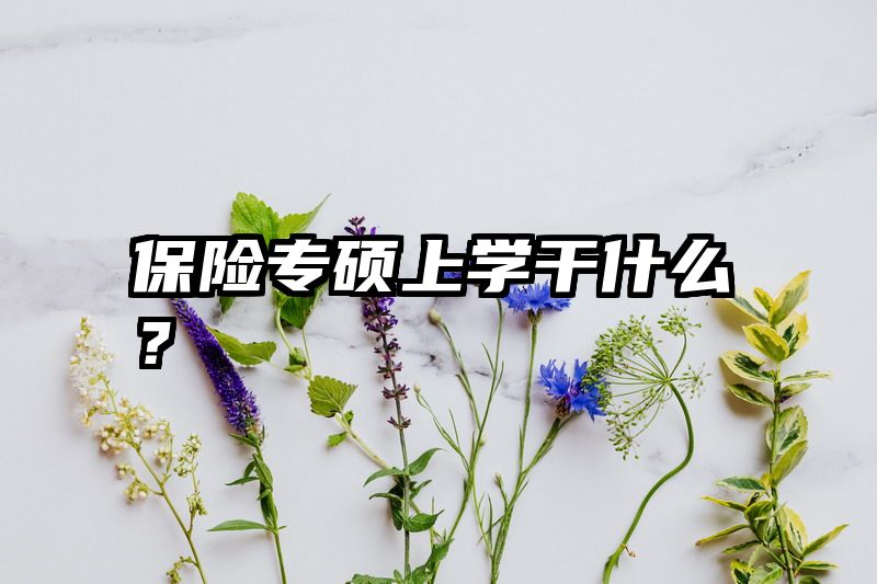 保险专硕上学干什么？