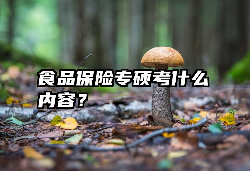 食品保险专硕考什么内容？
