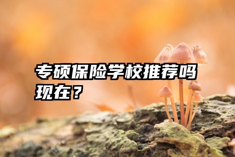 专硕保险学校推荐吗现在？