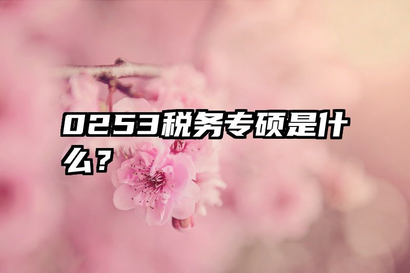 0253税务专硕是什么？