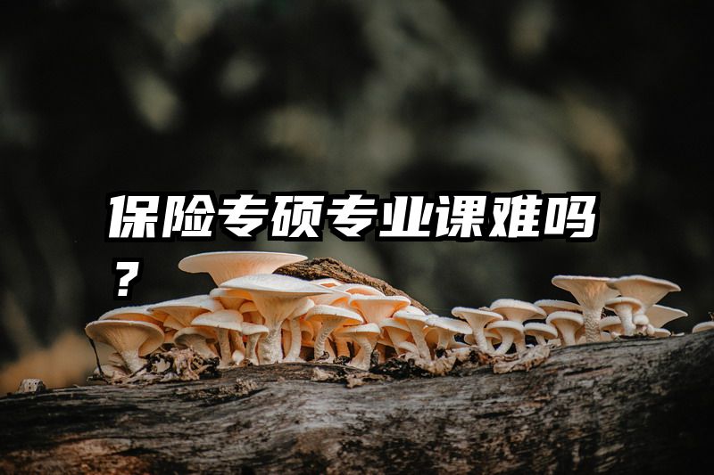 保险专硕专业课难吗？