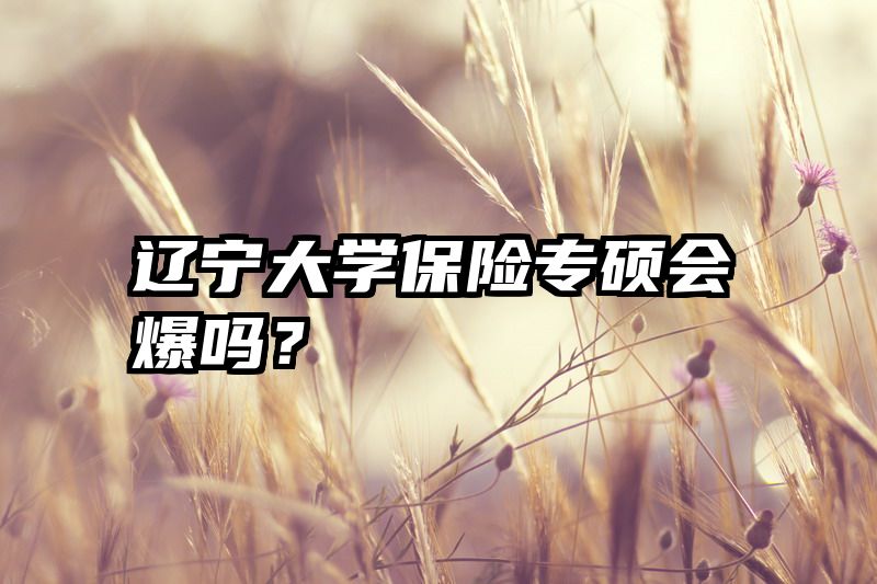 辽宁大学保险专硕会爆吗？