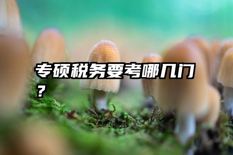 专硕税务要考哪几门？