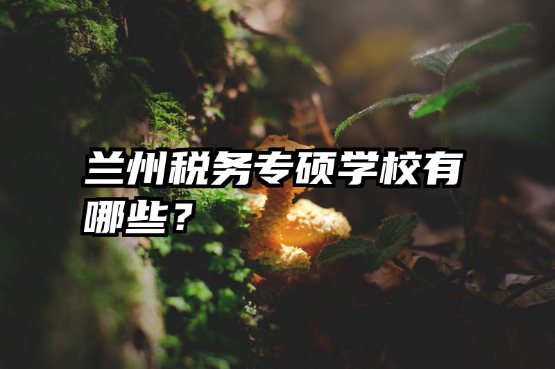 兰州税务专硕学校有哪些？