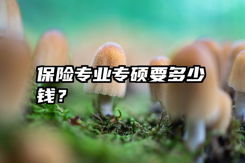 保险专业专硕要多少钱？