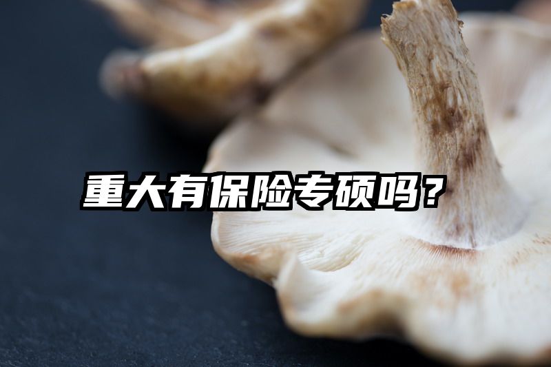 重大有保险专硕吗？