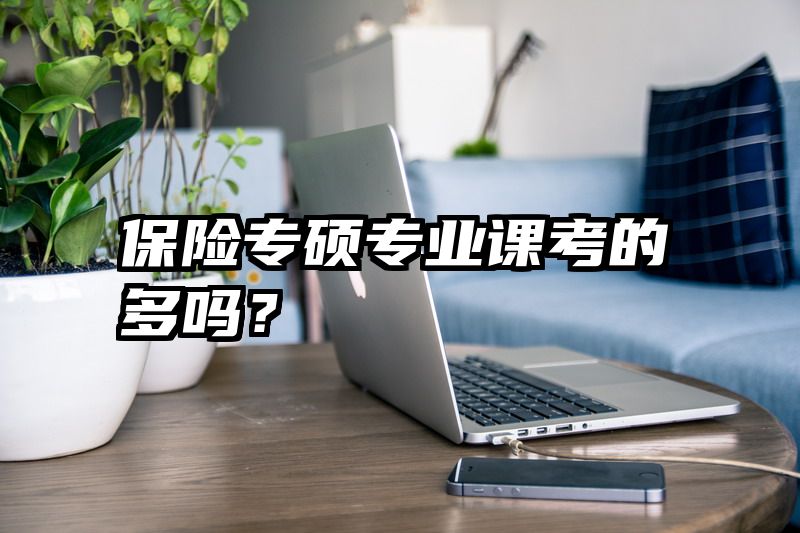 保险专硕专业课考的多吗？