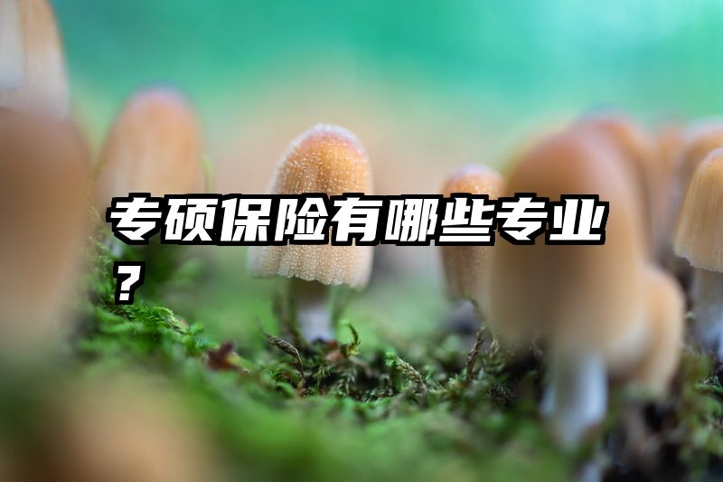 专硕保险有哪些专业？