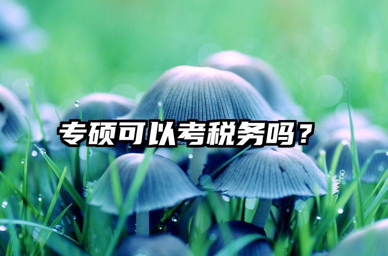 专硕可以考税务吗？