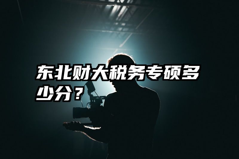 东北财大税务专硕多少分？