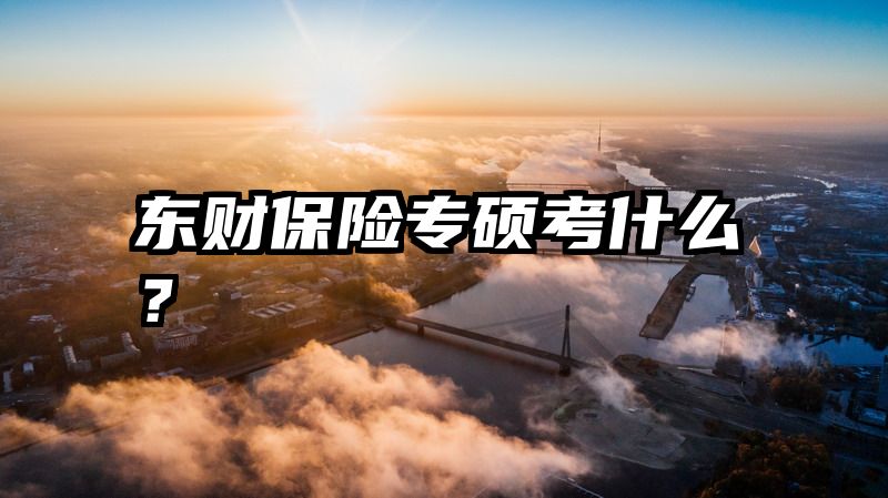东财保险专硕考什么？