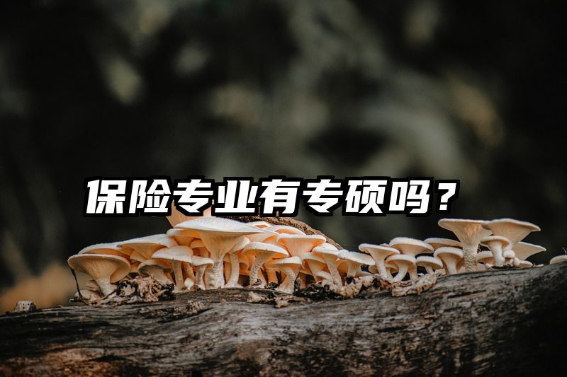 保险专业有专硕吗？