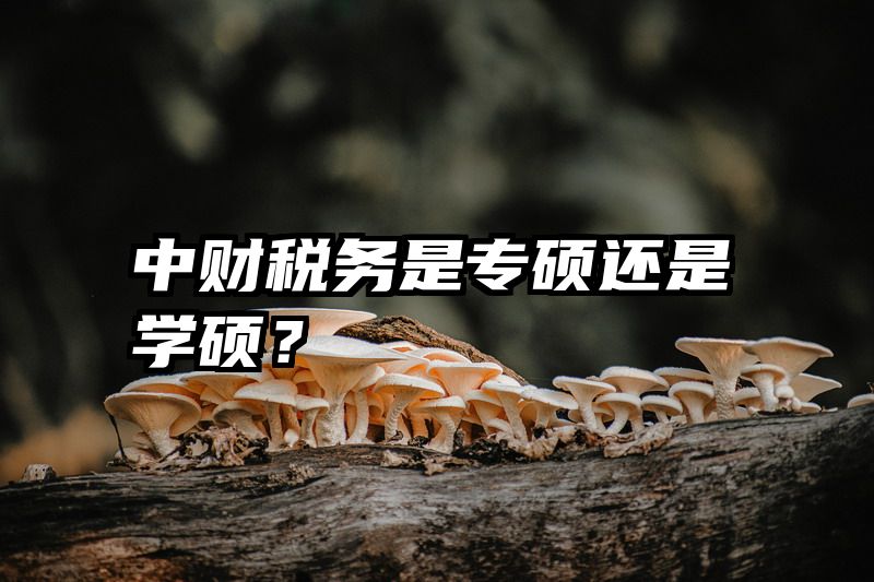 中财税务是专硕还是学硕？
