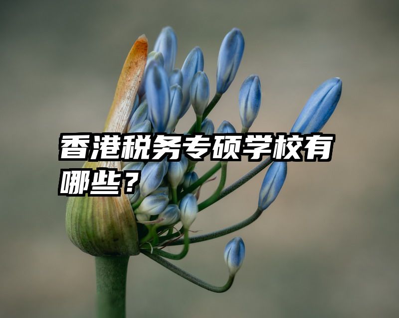 香港税务专硕学校有哪些？
