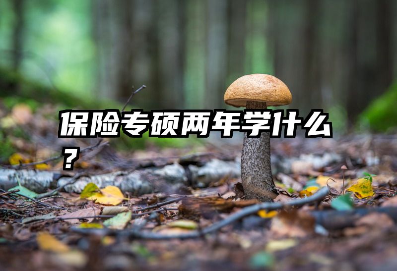 保险专硕两年学什么？