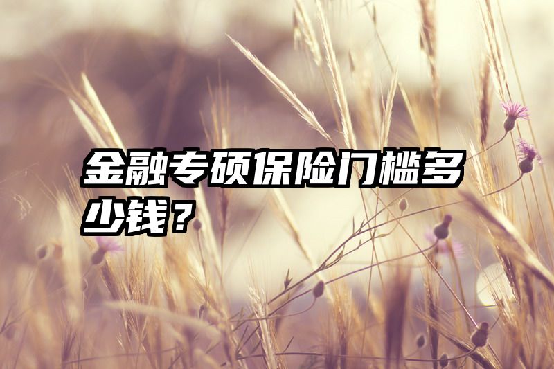 金融专硕保险门槛多少钱？