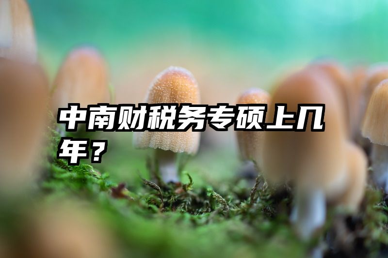 中南财税务专硕上几年？