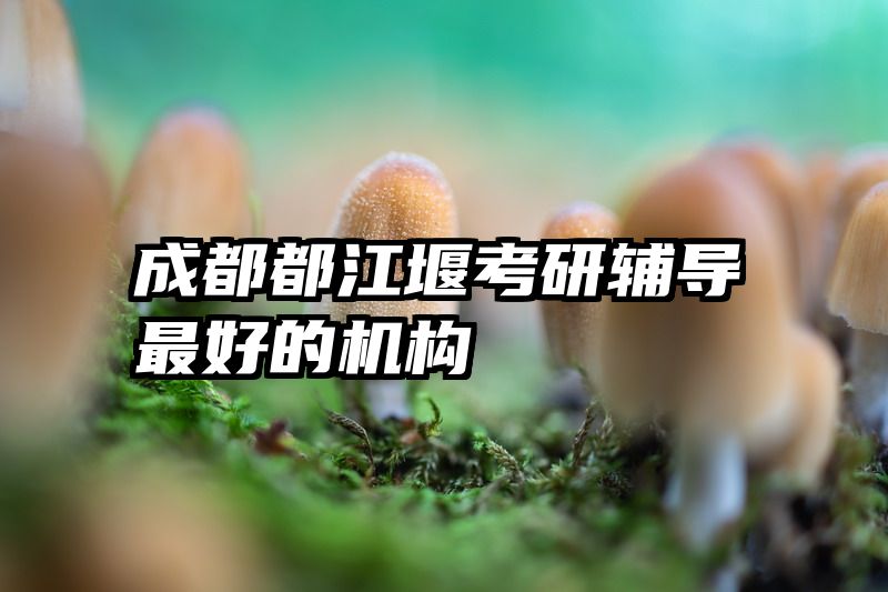 成都都江堰考研辅导最好的机构