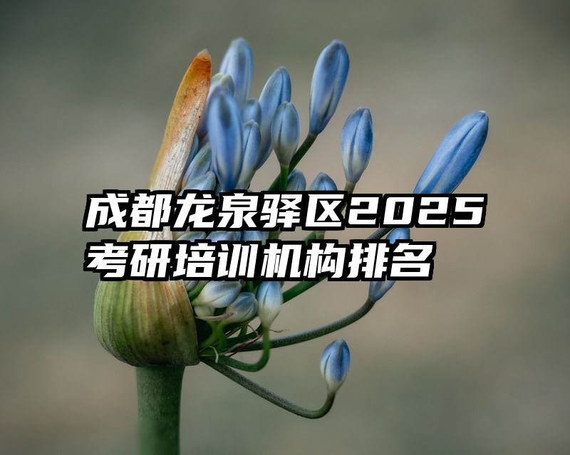 成都龙泉驿区2025考研培训机构排名
