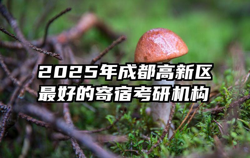2025年成都高新区最好的寄宿考研机构