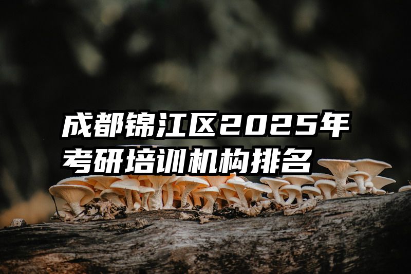 成都锦江区2025年考研培训机构排名