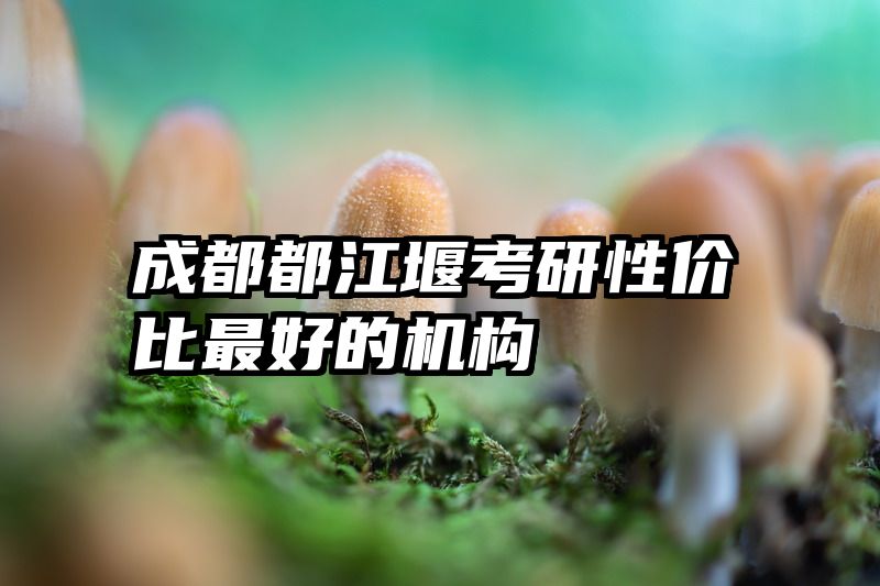 成都都江堰考研性价比最好的机构