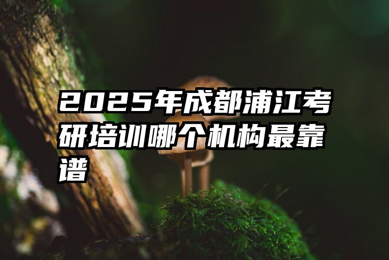 2025年成都浦江考研培训哪个机构最靠谱