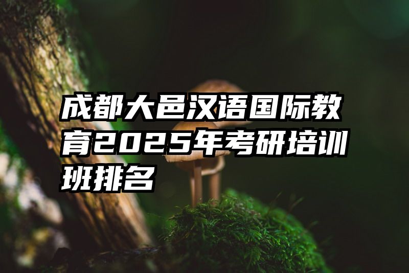 成都大邑汉语国际教育2025年考研培训班排名