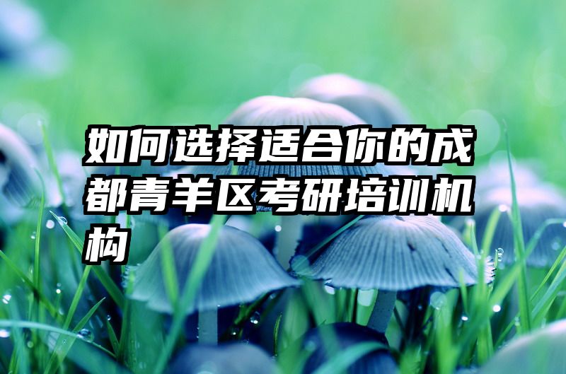 如何选择适合你的成都青羊区考研培训机构