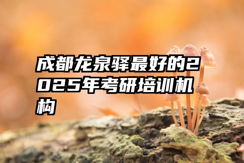 成都龙泉驿最好的2025年考研培训机构