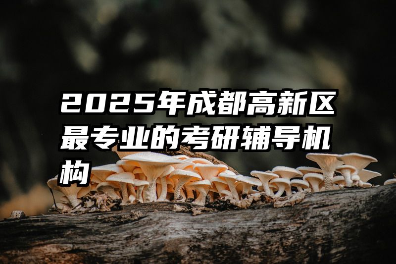 2025年成都高新区最专业的考研辅导机构