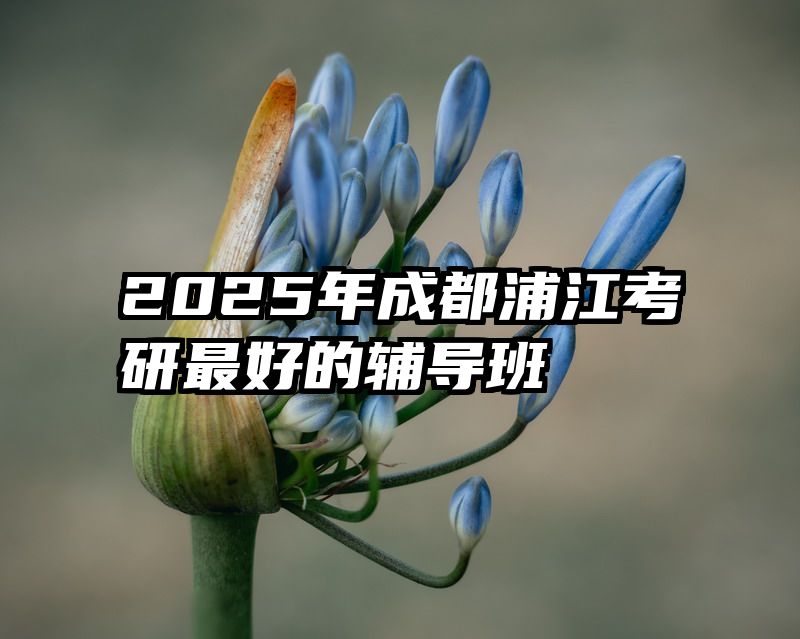 2025年成都浦江考研最好的辅导班