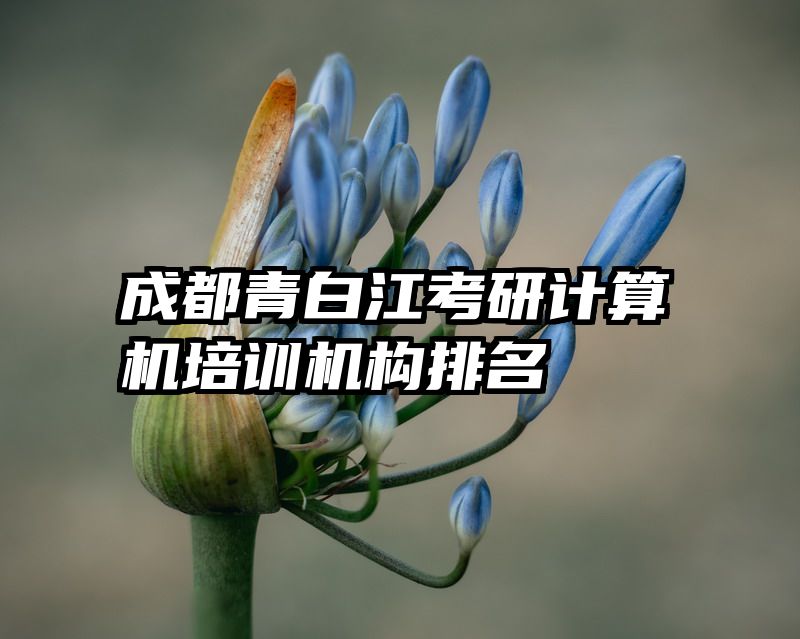 成都青白江考研计算机培训机构排名