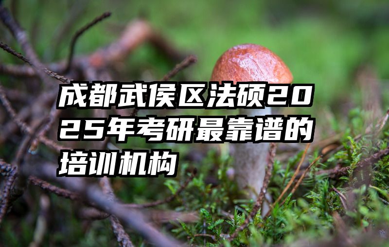 成都武侯区法硕2025年考研最靠谱的培训机构