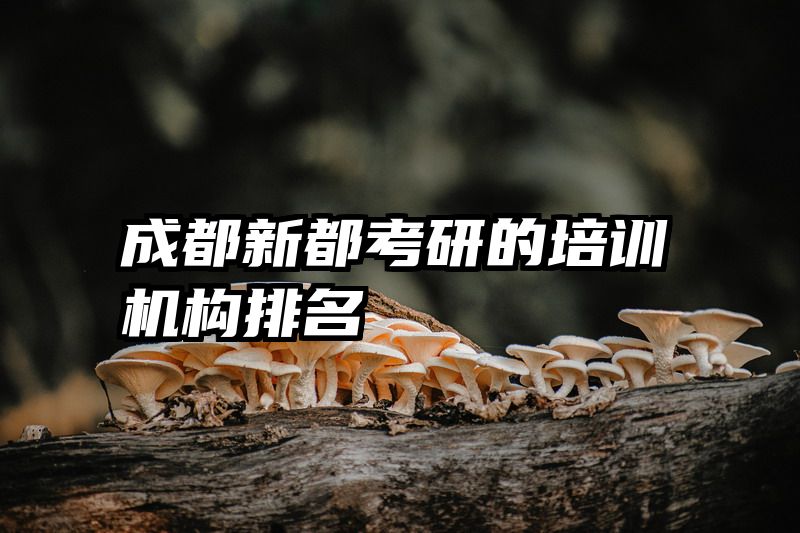 成都新都考研的培训机构排名