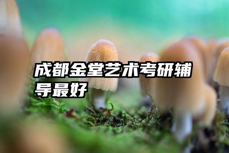 成都金堂艺术考研辅导最好