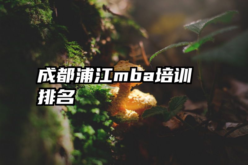 成都浦江mba培训排名