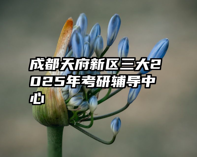 成都天府新区三大2025年考研辅导中心