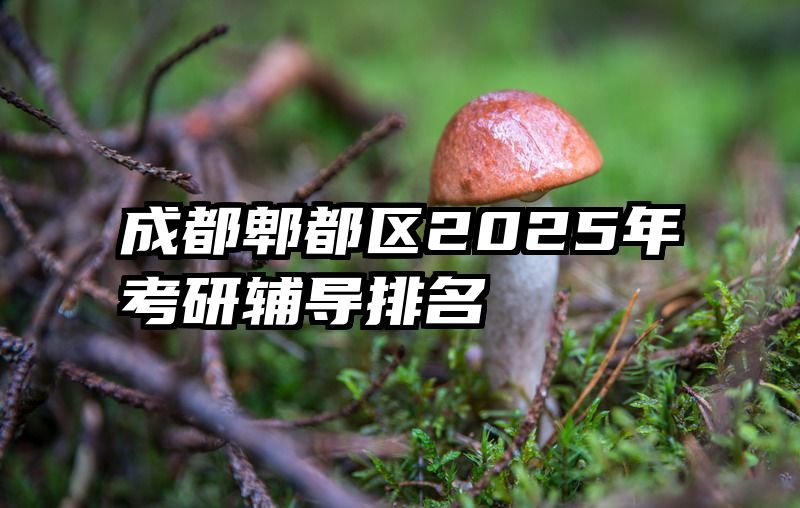 成都郫都区2025年考研辅导排名